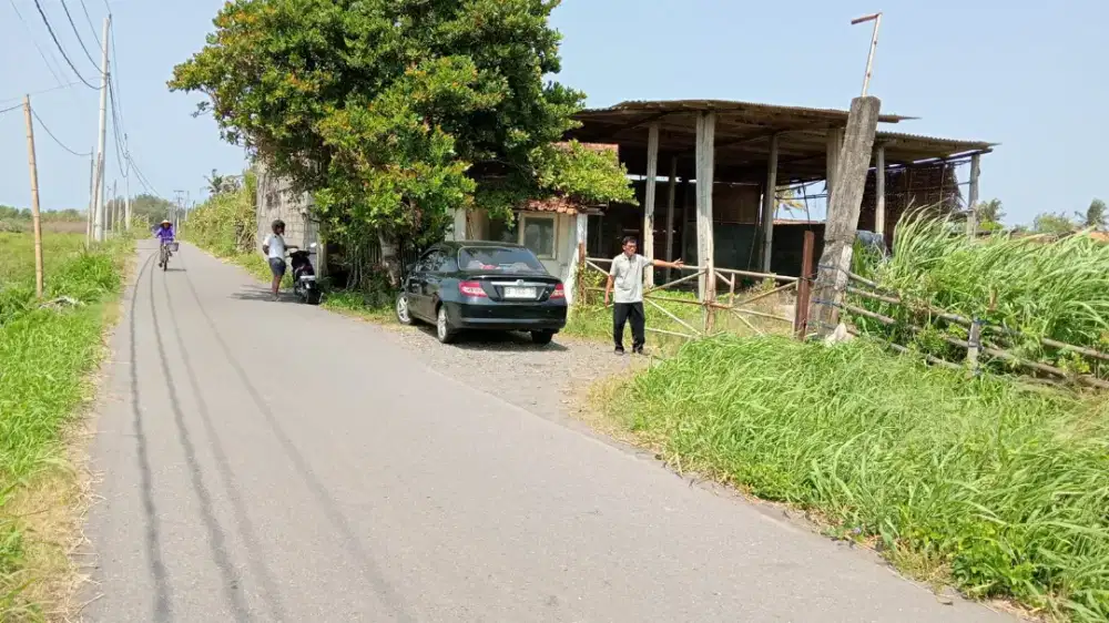 Jual tanah Bonus kandang sapi