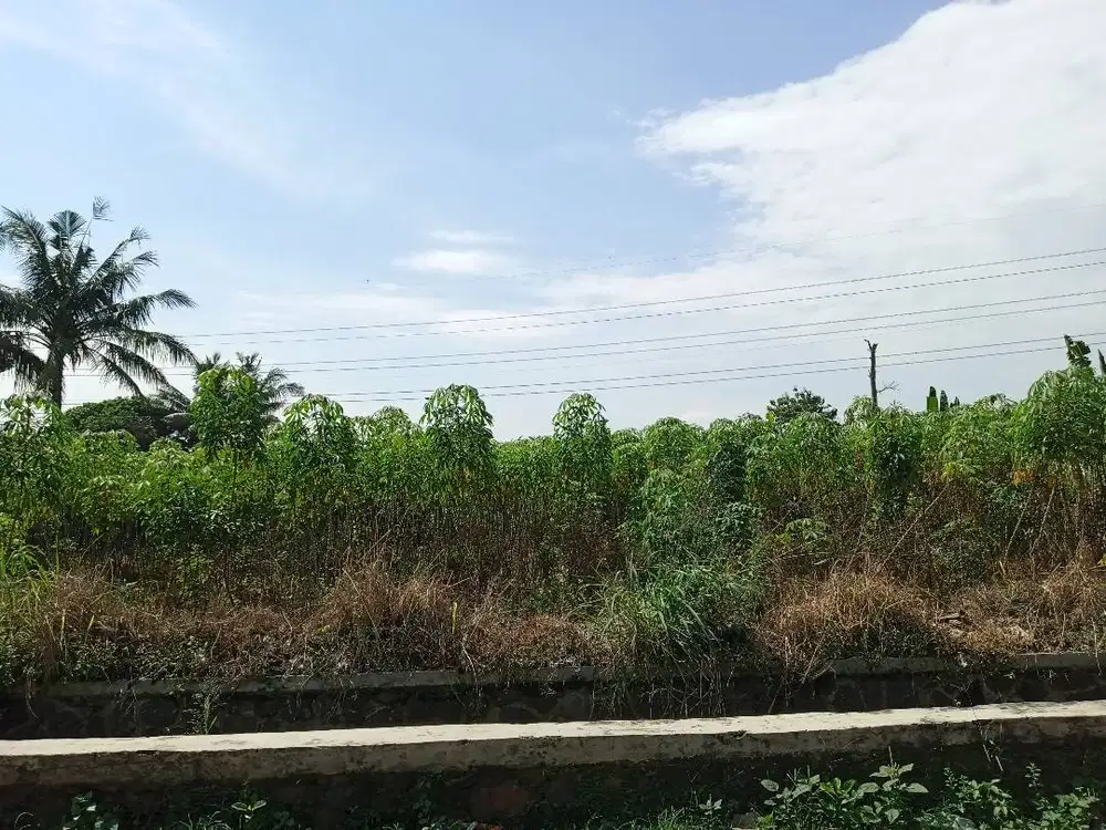 Kapling Cilebut 5 Menit Perumahan Bukit Cimanggu City Free Kulkas