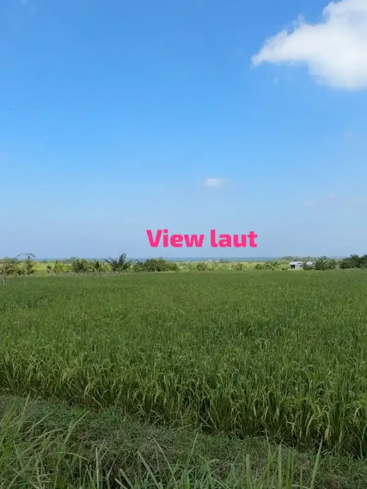 35mnit to Canggu, kelating Beach