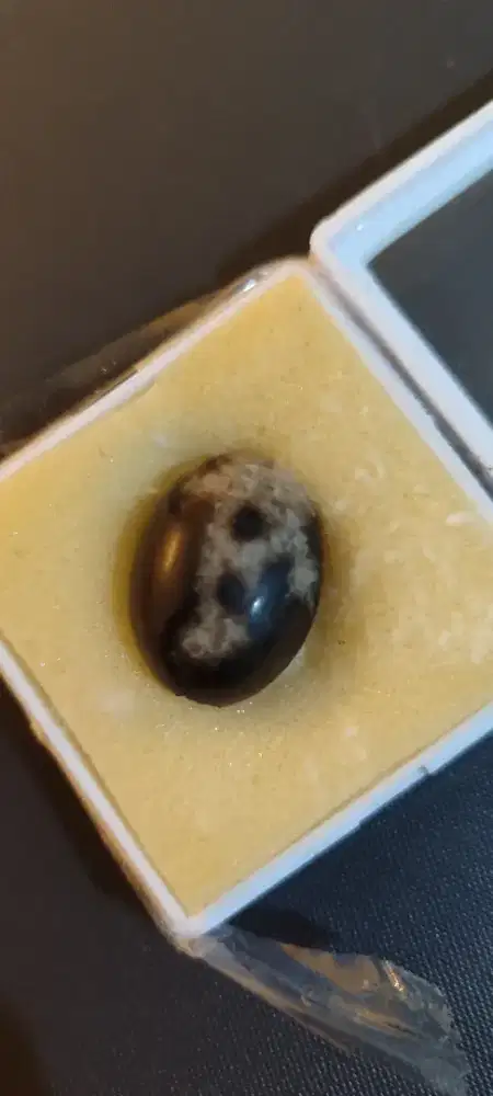 Batu sisik naga inisial huruf A.