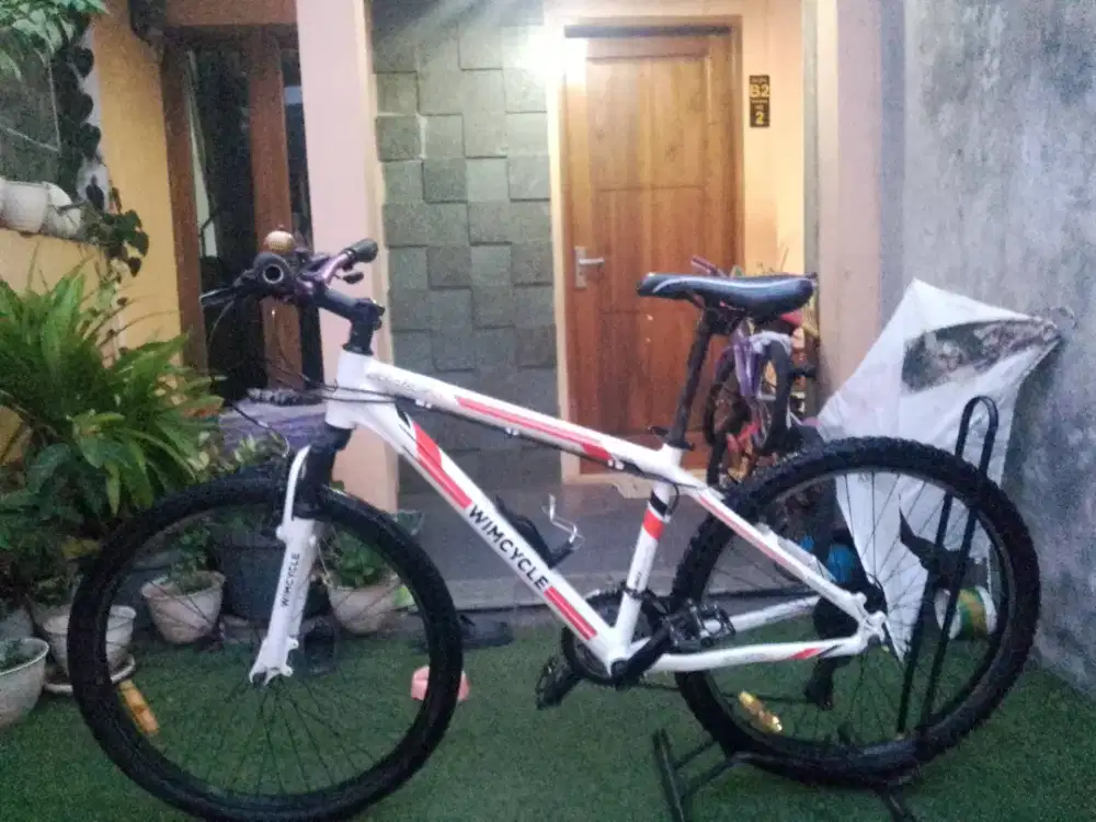 26'  Wimcycle Blade 1.0