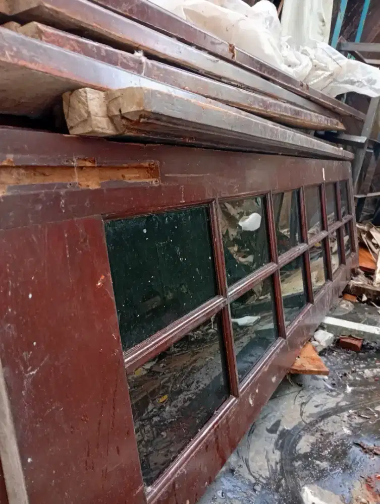 Jual daun cendela kayu kamper