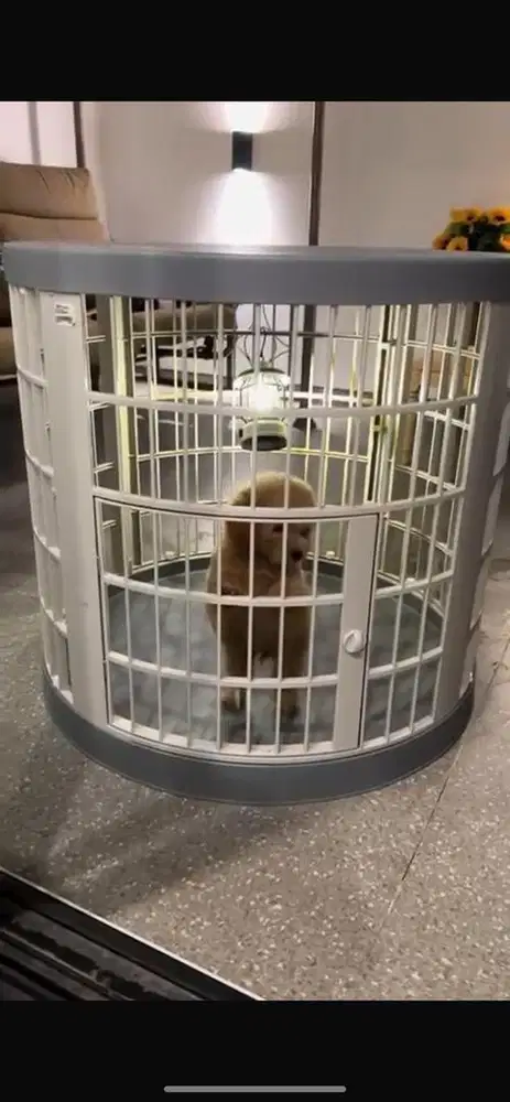 Kandang anjing kondisi 90% msh bagus baru beli 2bulanan