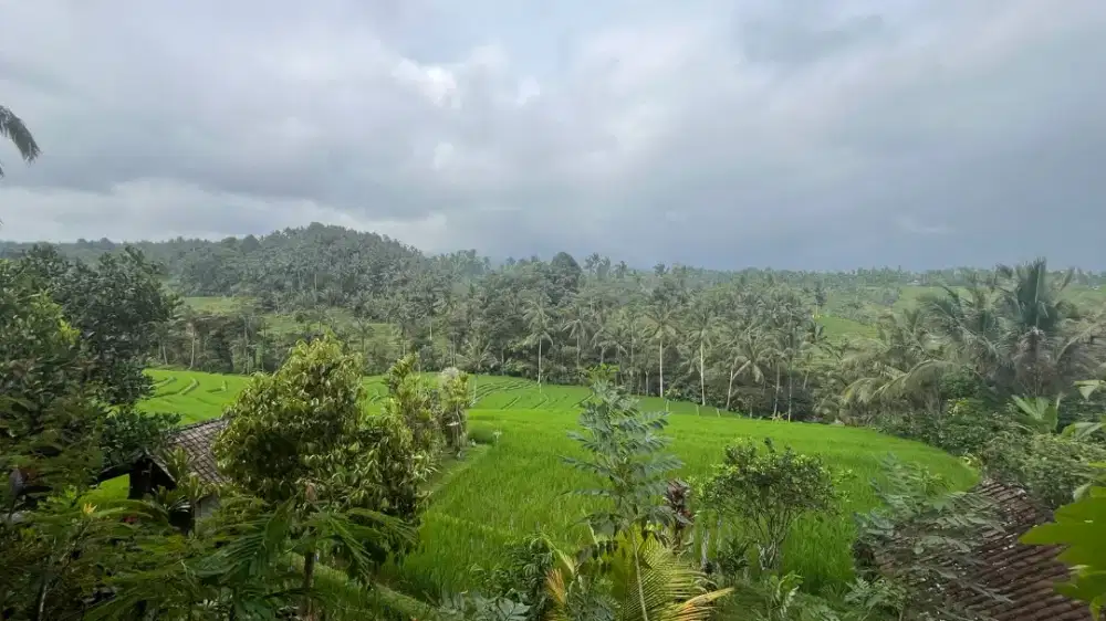 Dijual Tanah Kebun Luasan Kecil View Sawah Di Taban Bali