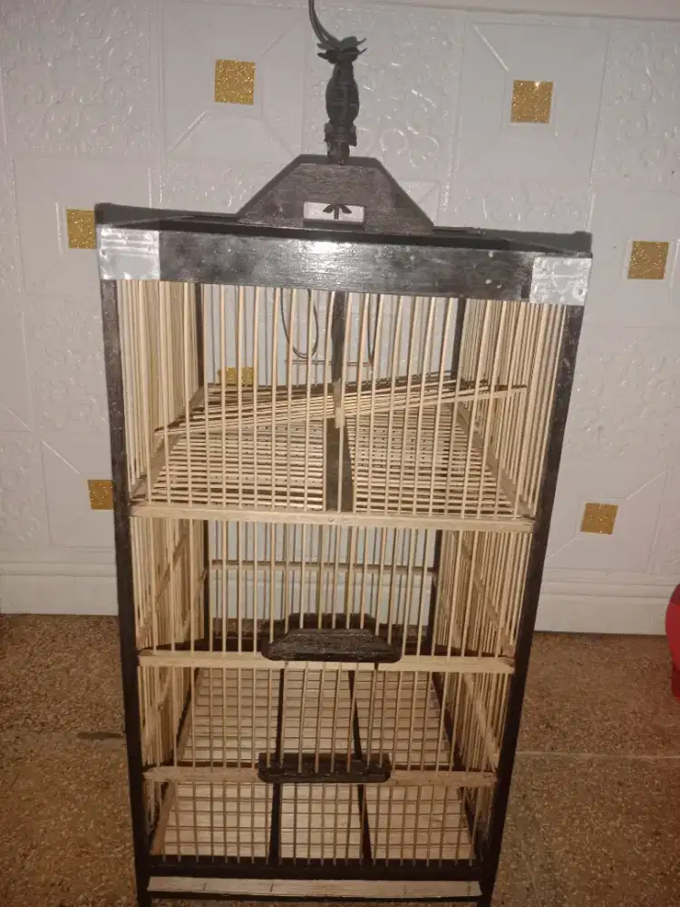 Kandang jebakin buring