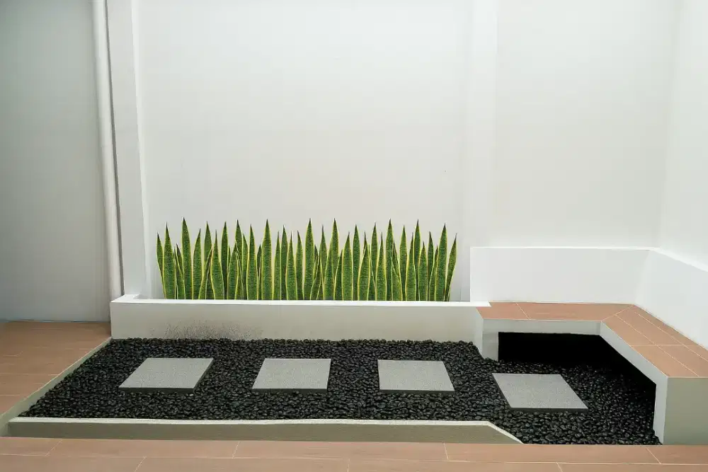 Jasa taman. Dan renovasi taman