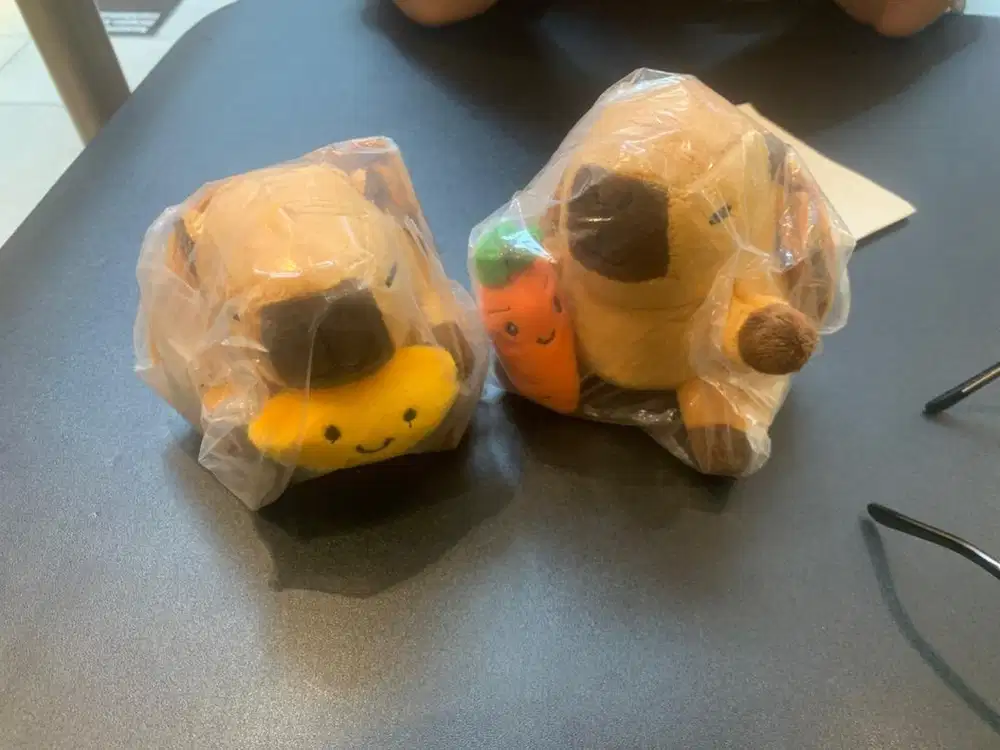 Capybara kopi kenangan