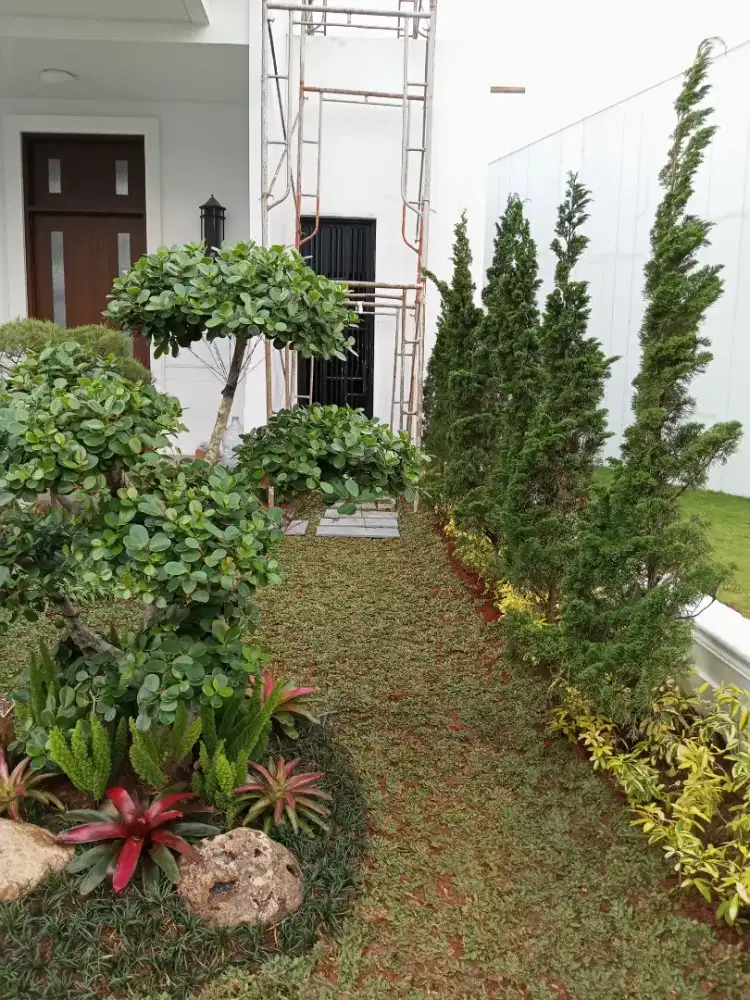 Taman modern - Pembuatan taman baru - Renovasi taman