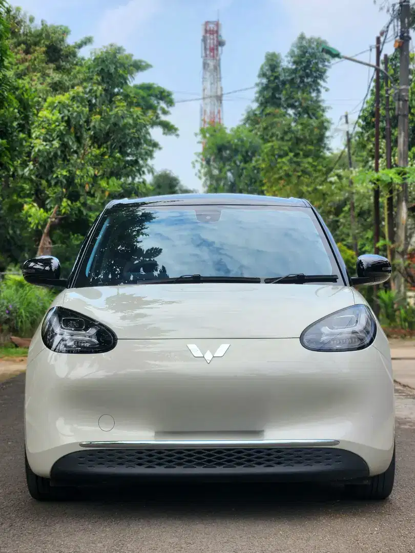 Wuling Binguo EV Long Range 333 Ac/Dc 2024 Perfetc Condt