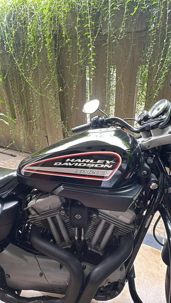 Harley Davidson  XR1200 / 2010