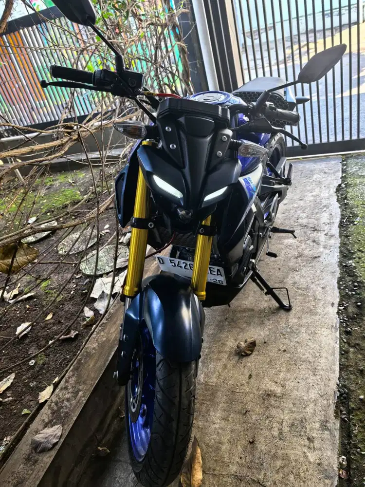 Yamaha MT-15 / 2023