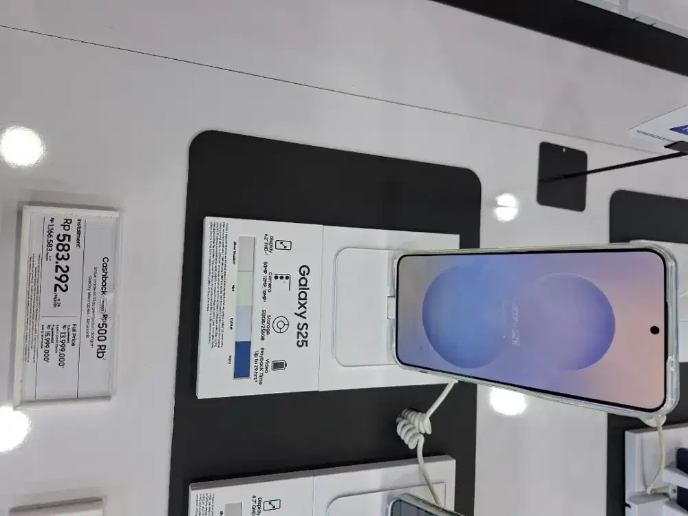 SAMSUNG GALAXY S25 12/256