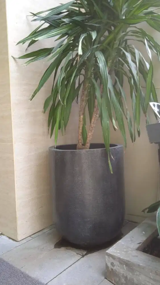 Pot teraso hitam pot tanaman outdoor