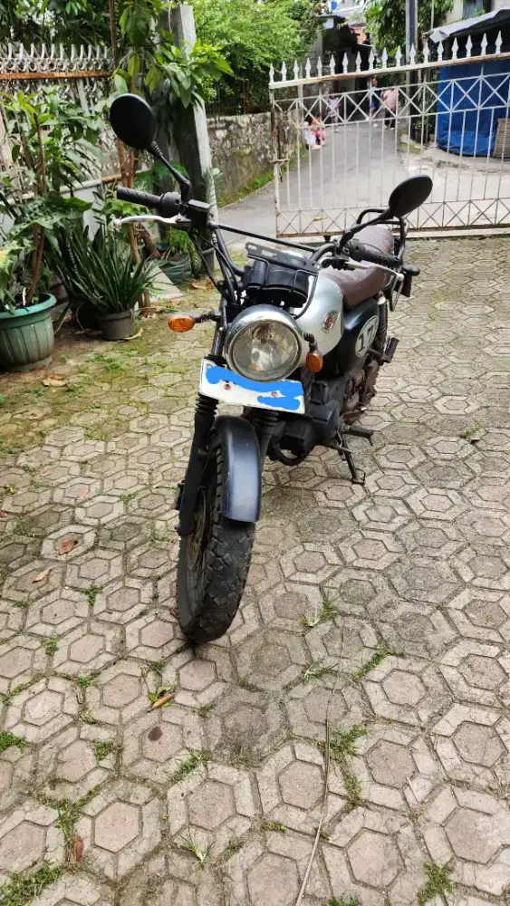 Kawasaki W175 SE 2018