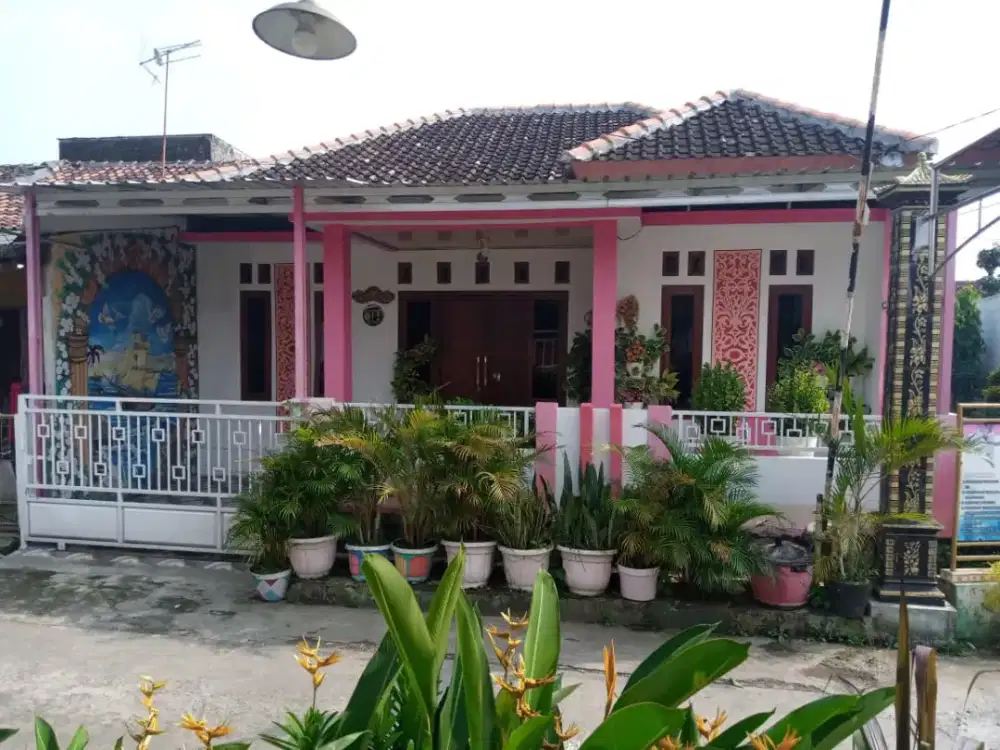 Rumah Bagus Campurejo Boja