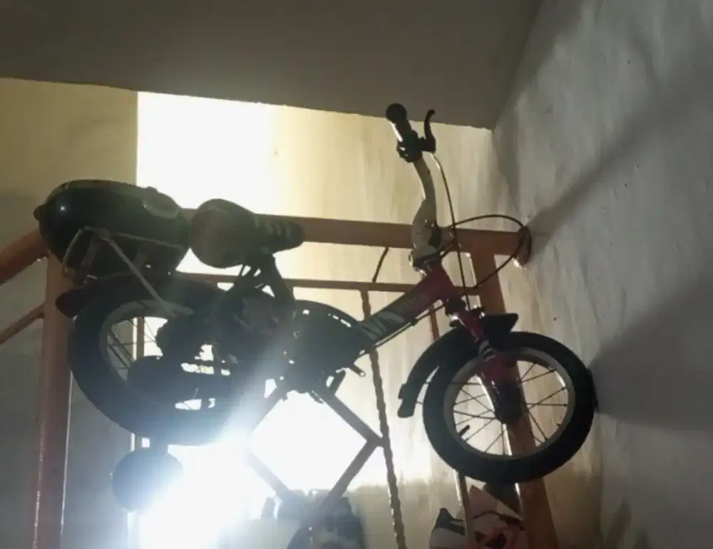 Sepeda anak dengan roda belakang