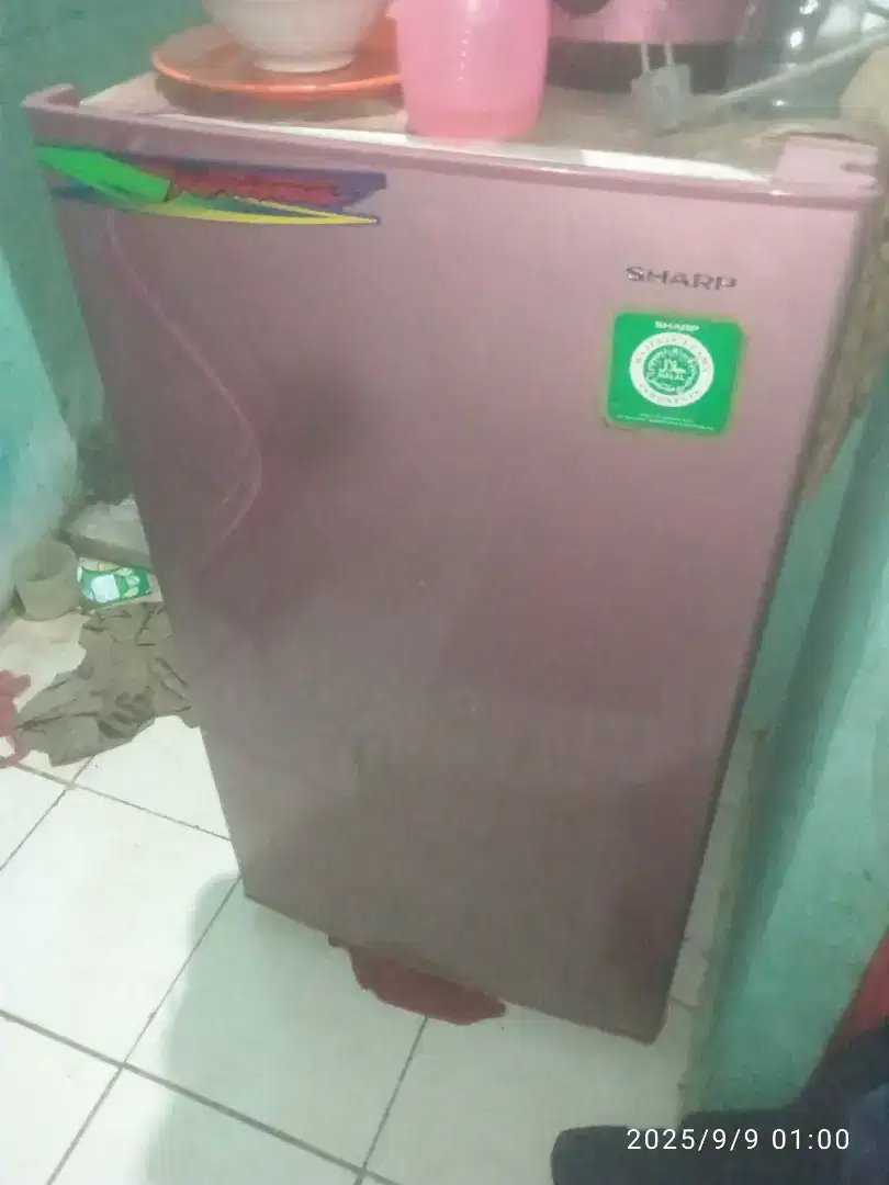 Kulkas Sharp 1 pintu
