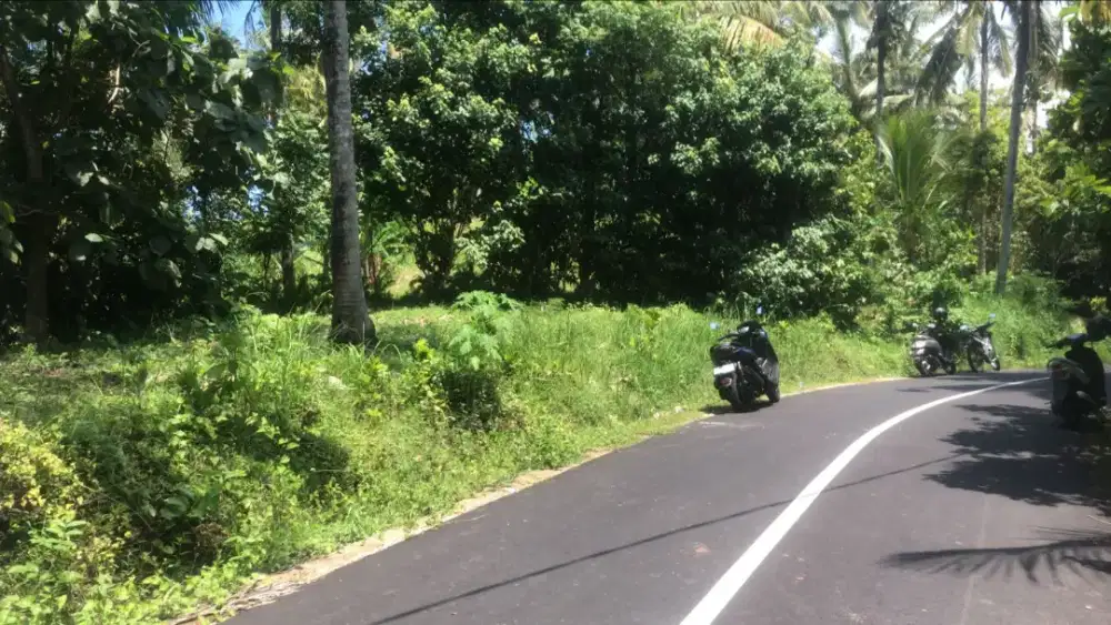 Dijual Tanah Kebun Datar Dipinggir Jalan Hotmik  Di Tabanan Bali