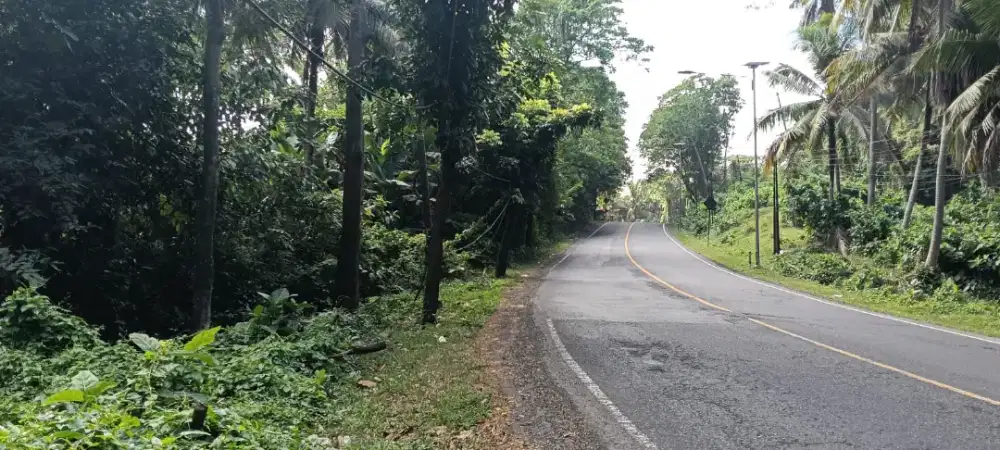 Tanah Pinggir Jalan Utama Denpar Gilimanuk Dekat Pantai Di Tabanan
