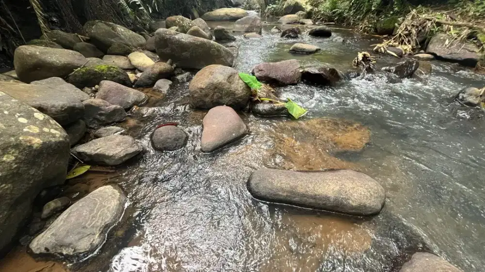 Dijual Tanah Los Sungai View Sawah Gunung Di Tabanan Bali