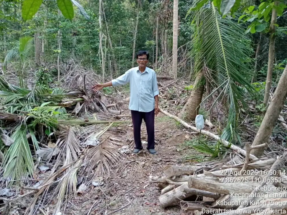Tanah murah di Temon kp,teras ereng di kokap