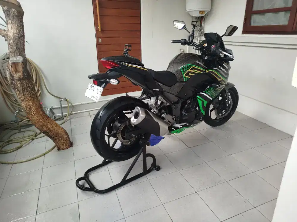 Z250 Kawasaki streetfighter