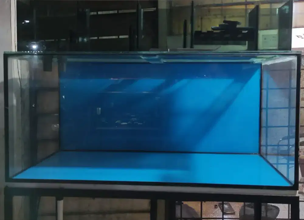 Aquarium / akuarium ikan hias besar
