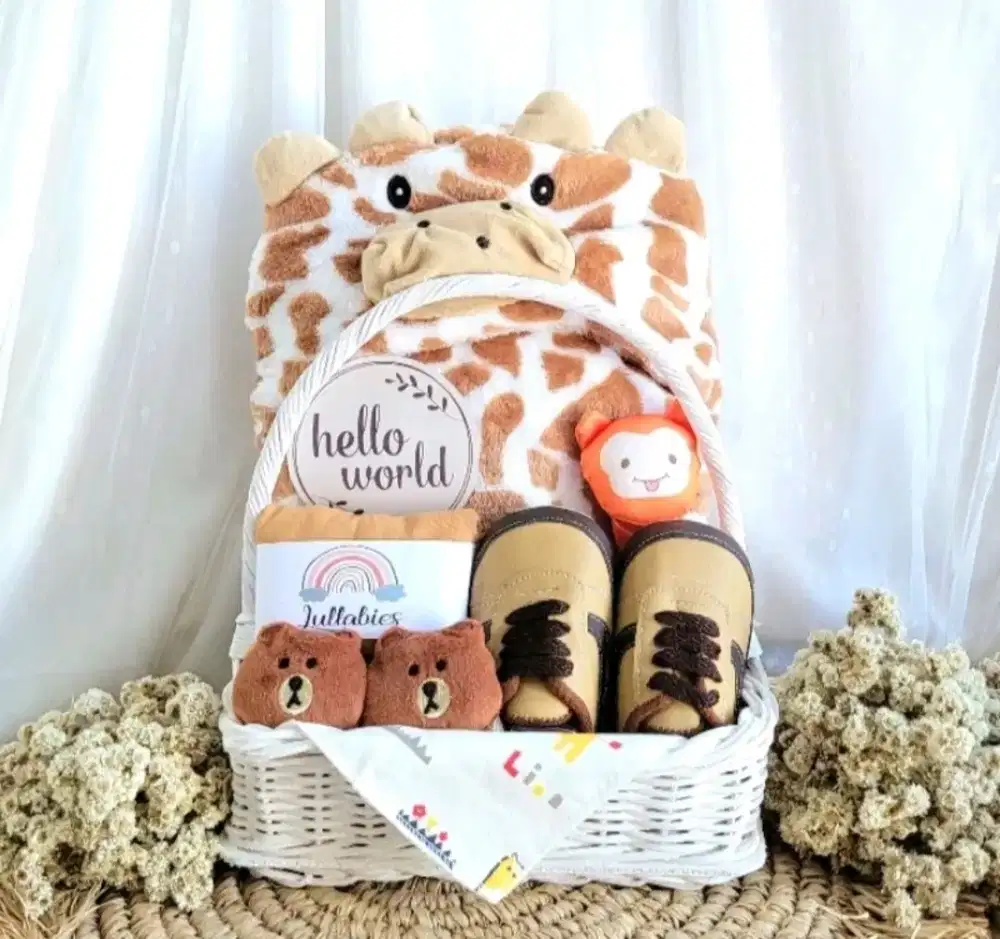HAMPERS BABY NEWBORN