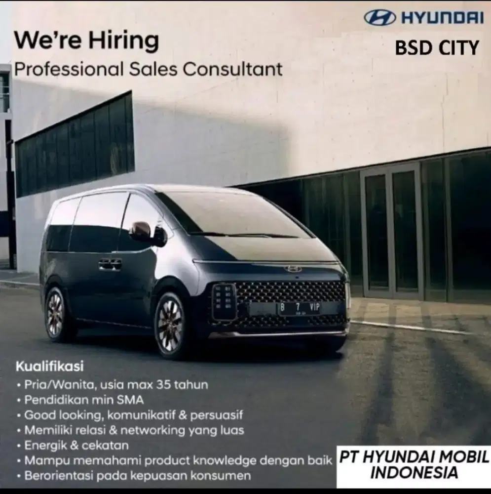Sales Consultant Hyundai