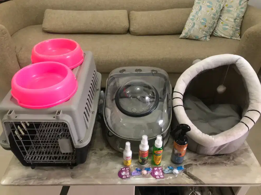 Paket perlengkapan kucing