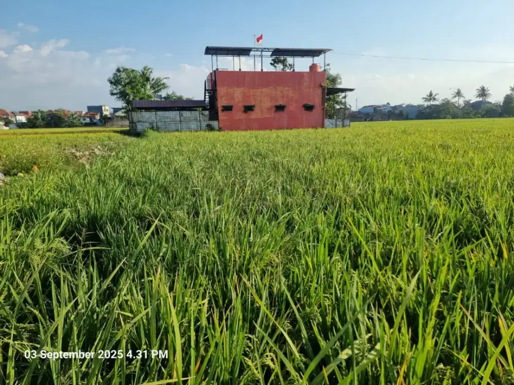 Tanah sawah produktif + Bangunan + Kolam ikan