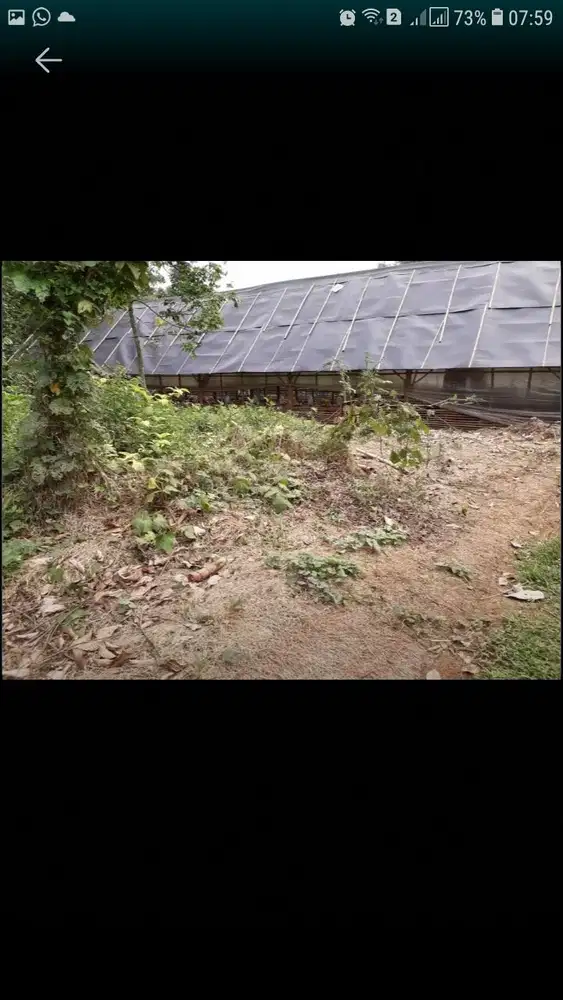 Jual butuh tanah dan kandang ayam di gunung sindur