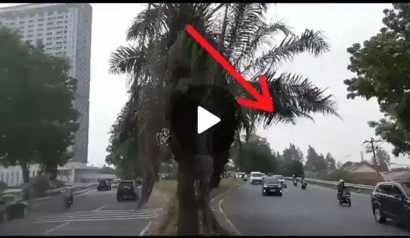 Tanah Di BSD Tangerang Selatan