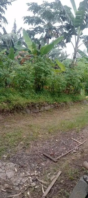 TANAH BUAT RUMAH TINGGAL GN SINDUR