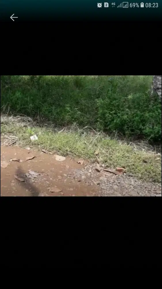 Jual butuh bamgant tanah di gunung sindur