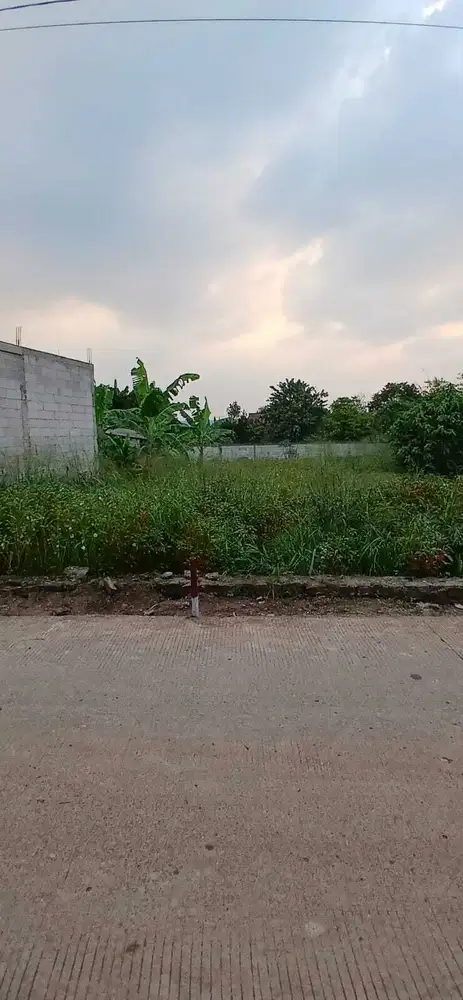 Tanah Bagus Buat Perumahan Minimalis atau Cluster Gunung Sindur