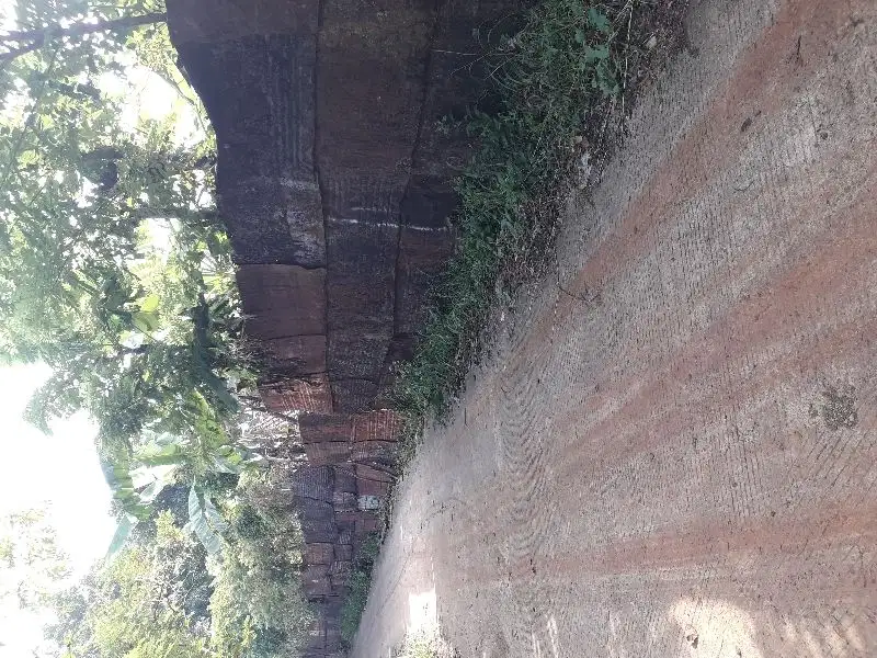 JUAL  TANAH  PERUMAHAN  DAN  TERNAK  GNSINDUR