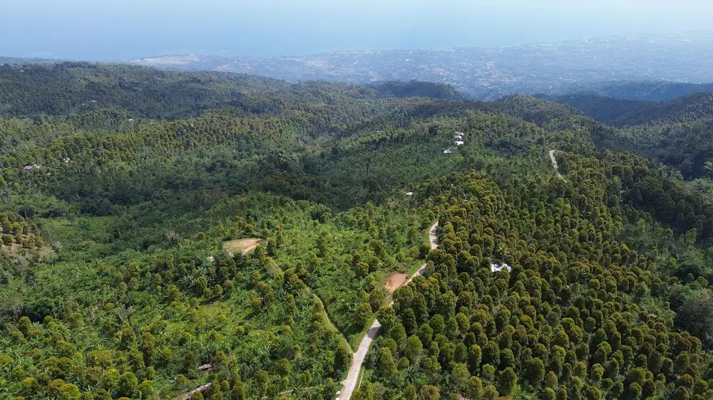 Dijual Tanah Luas View Laut di Desa Tigawasa Pedawa Buleleng