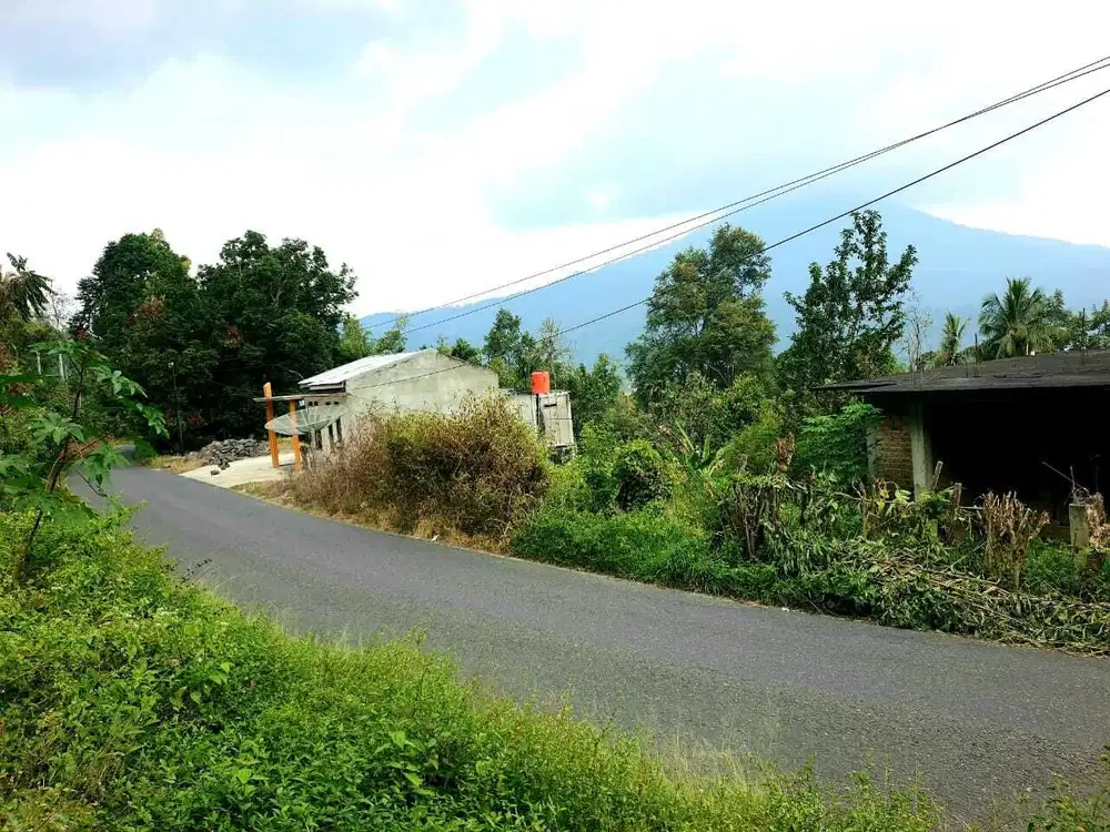 TANAH MURAH PINGGIR JALAN UTAMA DESA.TANJUNG JATI WARKUK RANAU SELATAN