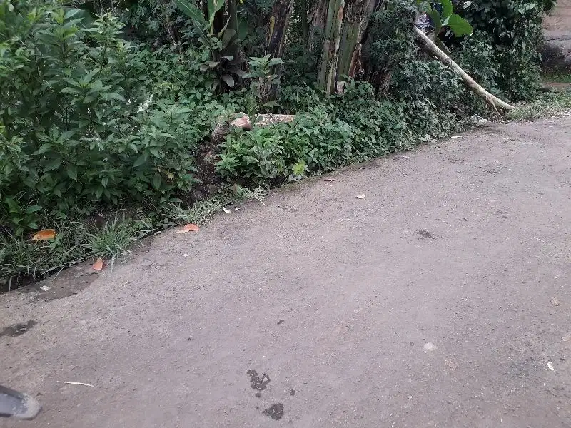 Tanah murah  di gunung sindur strategis