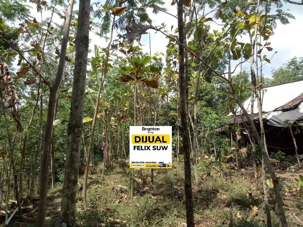 Jual Tanah  Dayurejo Prigen Pandaan