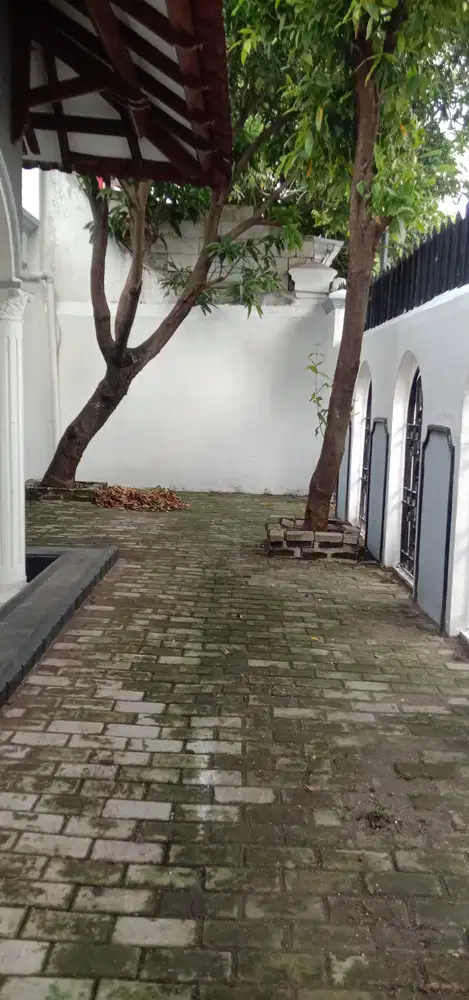 Disewakan rumah 1 lantai jalan ebar bisa untuk kantor atau rumah