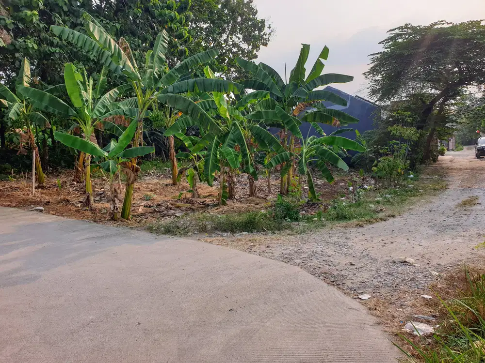TANAH MURAH SIAP BANGUN DEKAT PINTU TOL CIPUTAT PAMULANG