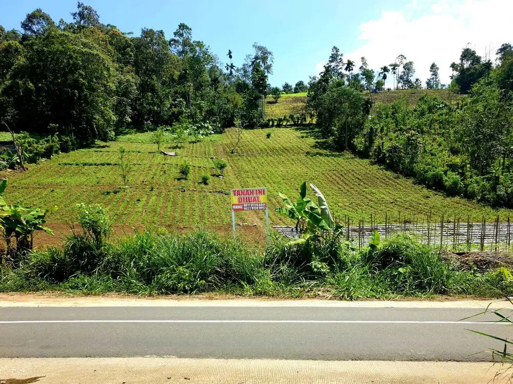 TANAH PINGGIR JALAN UTAMA JALAN LUMBOK SEMINUNG SUKAU LAMPUNG BARAT