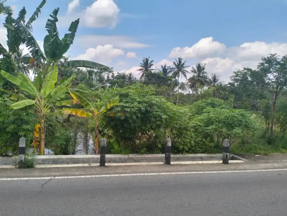 Disewakan tanah barat kampus uii terpadu jl Kaliurang km 12 Ngaglik