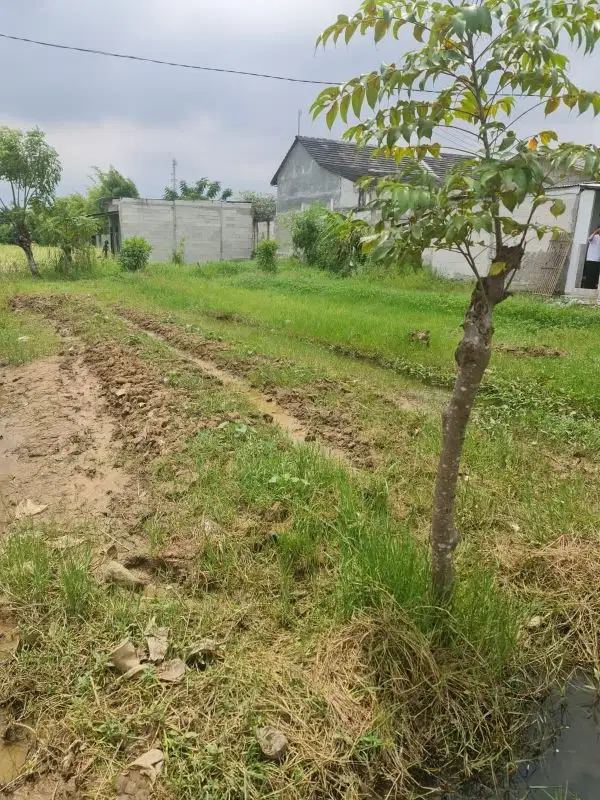 Jual Tanah 350m Babelan Bekasi