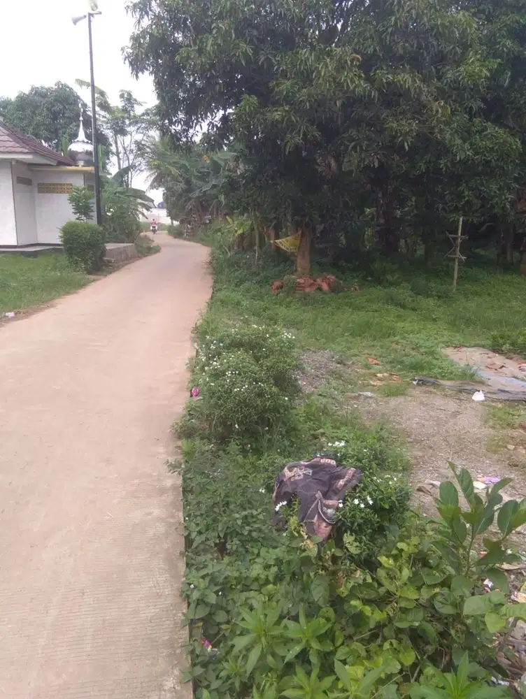 Tanah buat perumahan, gudang, dan sarana pendidikan