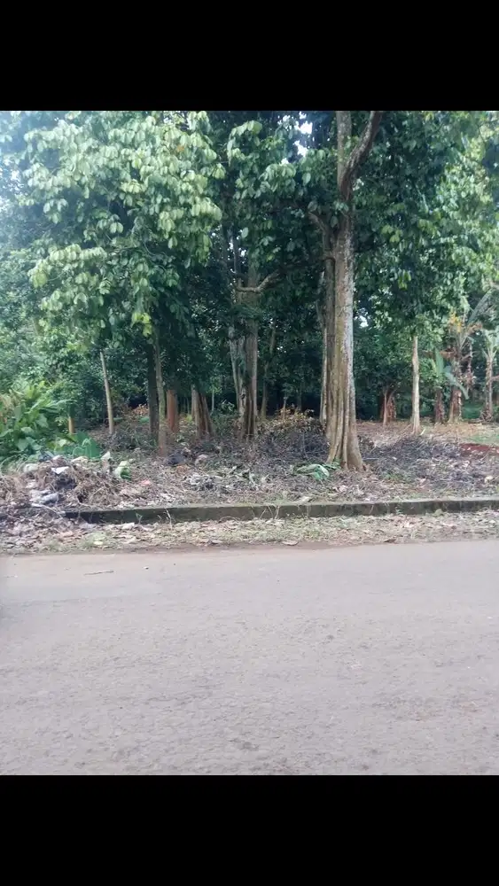 Jual butuh tanah buat usaha di gunungsindur