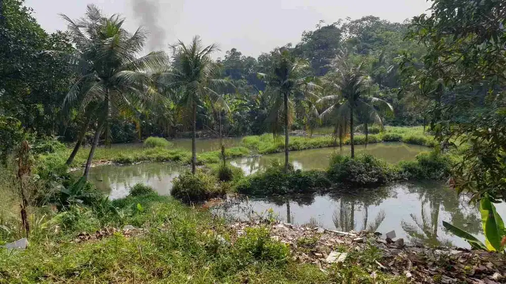 Dijual Tanah di Beji Depok Jawa Barat