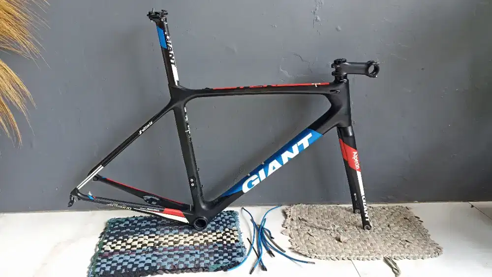 FRAME set Giant TCR pro advanced Alpecin